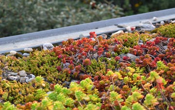 the cost of Caer Bont green roof installation