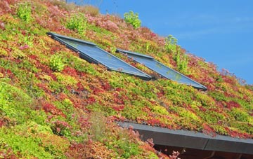 Caer Bont living roof systems