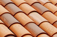 Caer Bont clay roofing