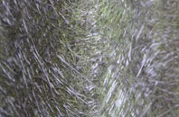 Caer Bont fibreglass roof work